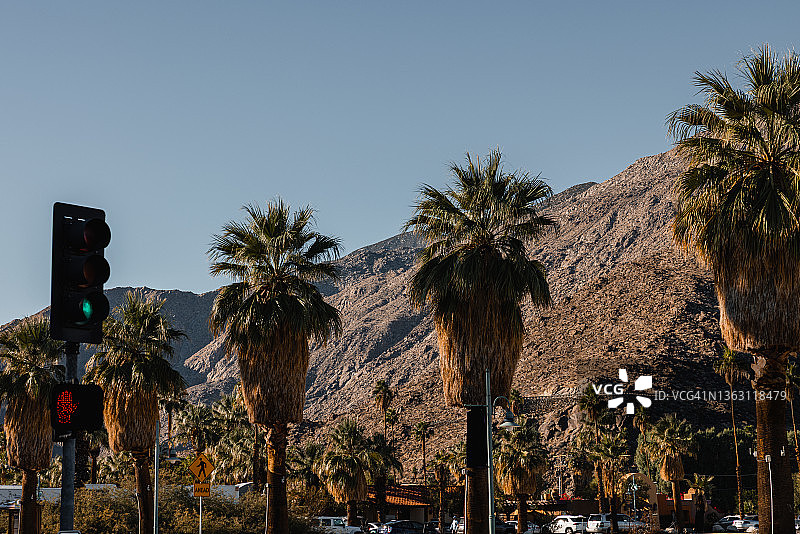 棕榈泉图片素材