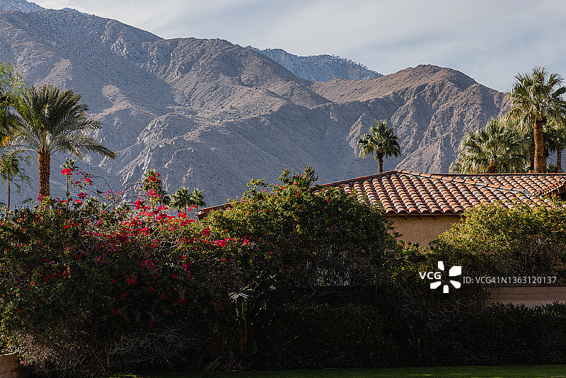 棕榈泉图片素材