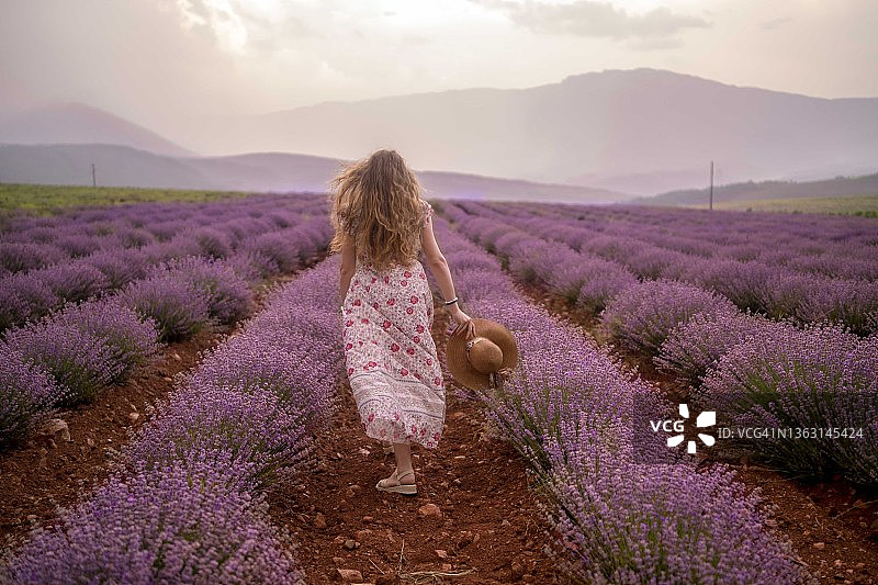 在薰衣草田的年轻女人图片素材