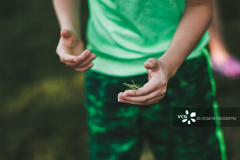 男孩抱着一只蝈蝈图片素材