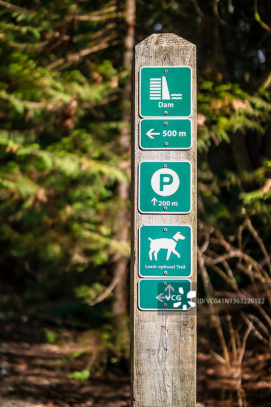 树前木桩上的小路标志图片素材