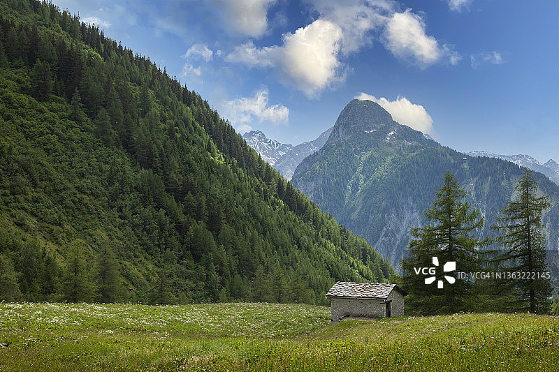 高山草甸中的小屋图片素材