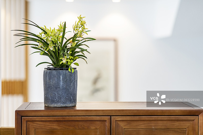 客厅里的热带兰花图片素材