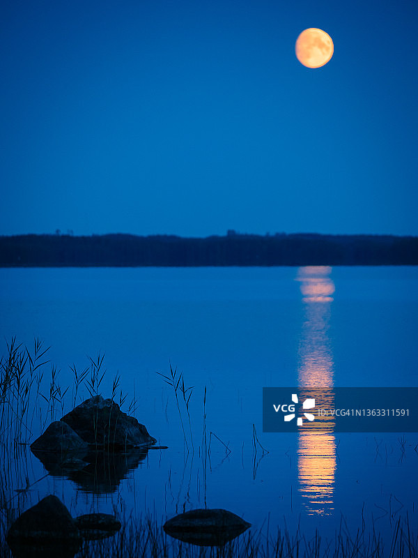 晴朗夏夜芬兰湖上空的满月图片素材