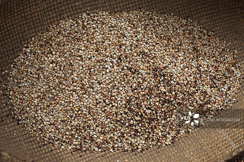 南苏丹：篮子里的高粱种子，准备磨成面粉图片素材