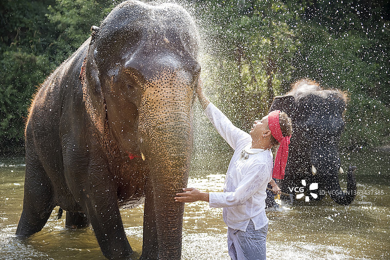 象夫给大象洗澡图片素材