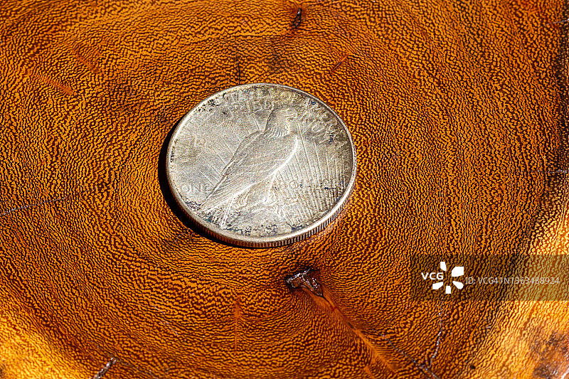 1927年银元背面图片素材