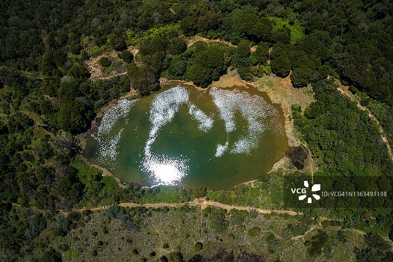 哥伦比亚麦德林附近森林中的绿松石色瓜尔内泻湖图片素材