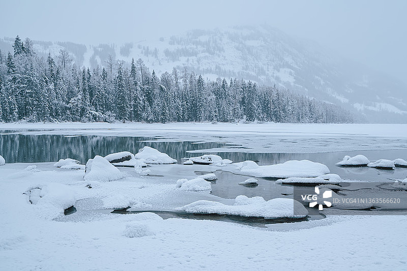 森林中被白雪覆盖的树木旁的冰冻河流图片素材