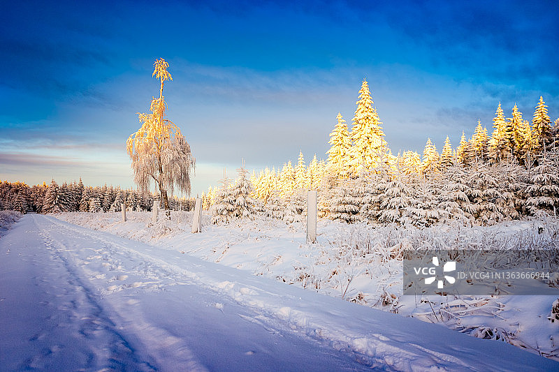 厄尔士山脉冬季景观：蓝天、阳光与白雪图片素材