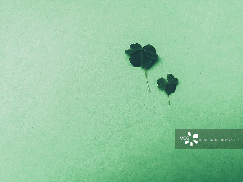 绿色背景上的绿叶，扁平风格图片素材