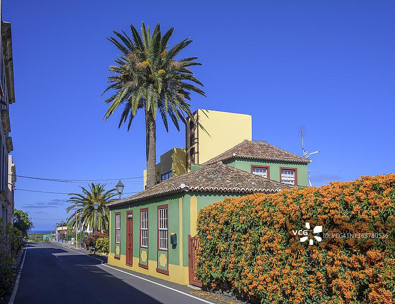 带有棕榈树和火焰藤（橙色喇叭花）的房屋，西班牙拉帕尔马岛圣安德烈斯图片素材