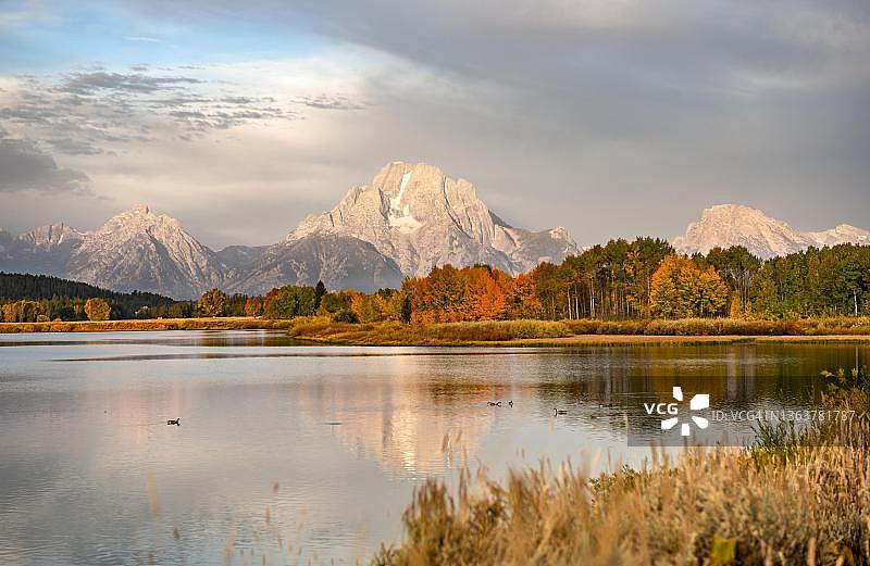 莫兰山倒映在蛇河中，牛轭弯的清晨，秋树和大提顿山脉，美国怀俄明州大提顿国家公园图片素材