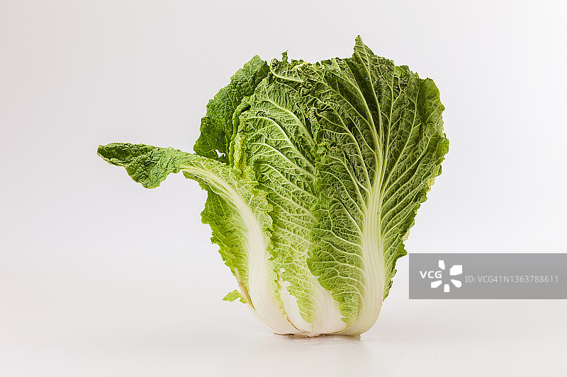 新鲜卷心菜图片素材