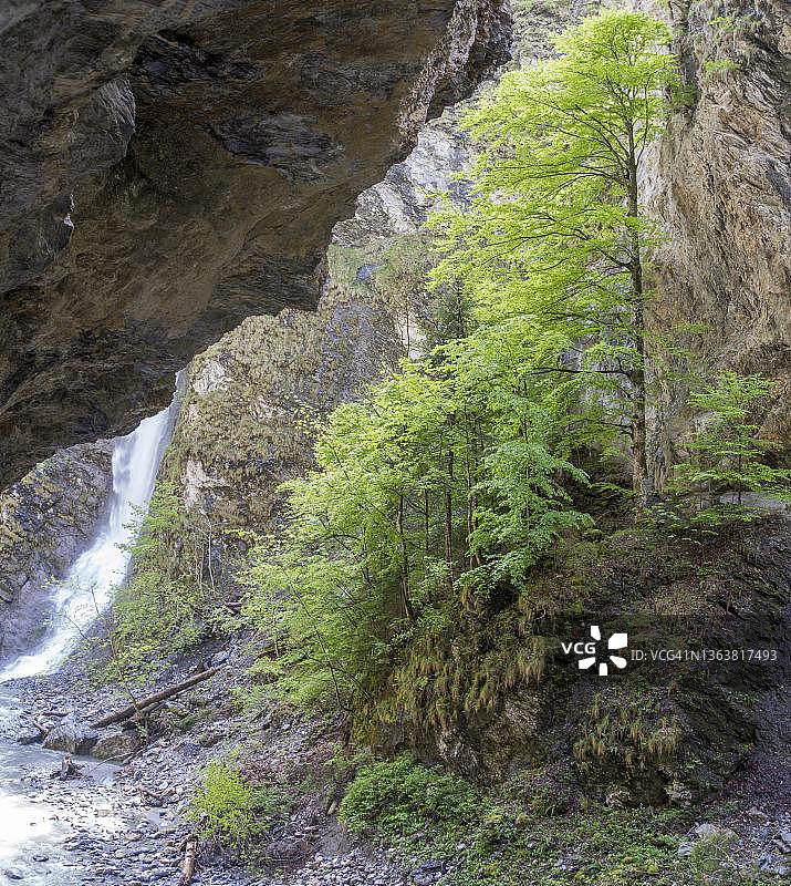 奥地利萨尔茨堡St. Veit im Pongau的列支敦士登峡谷瀑布图片素材