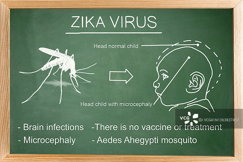 寨卡病毒概念图图片素材
