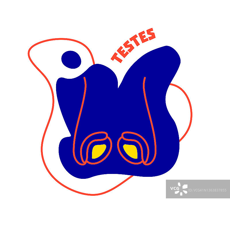 人类睾丸概念图图片素材