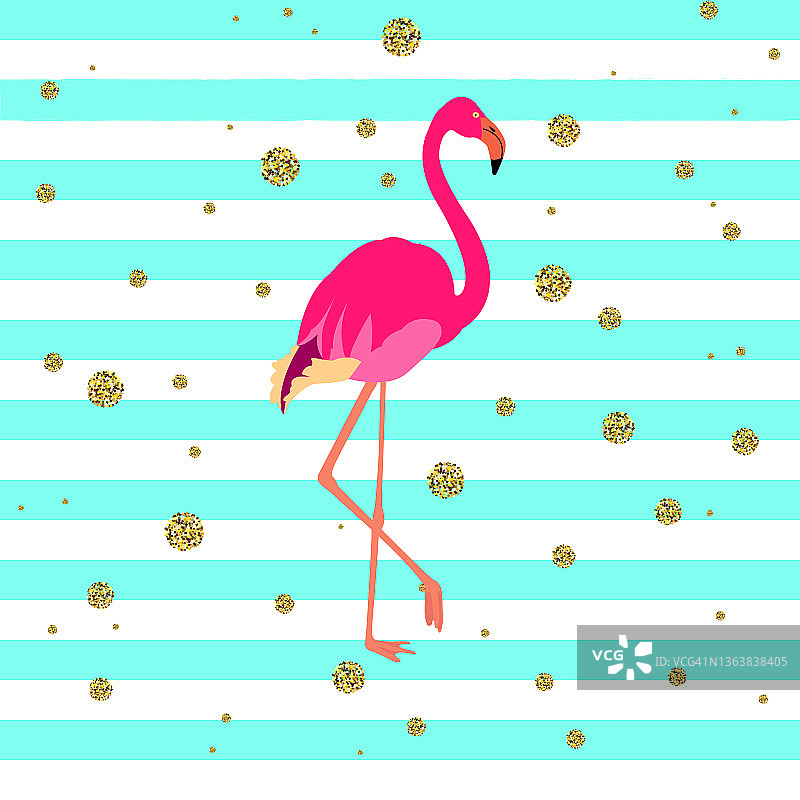 火烈鸟插画图片素材