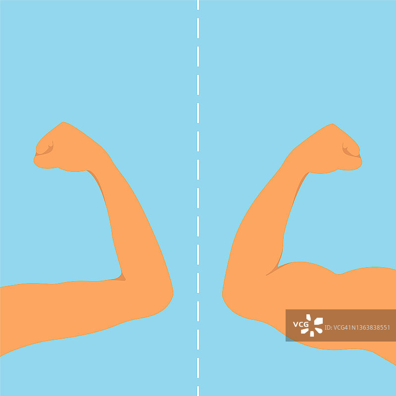 肌肉量概念图图片素材