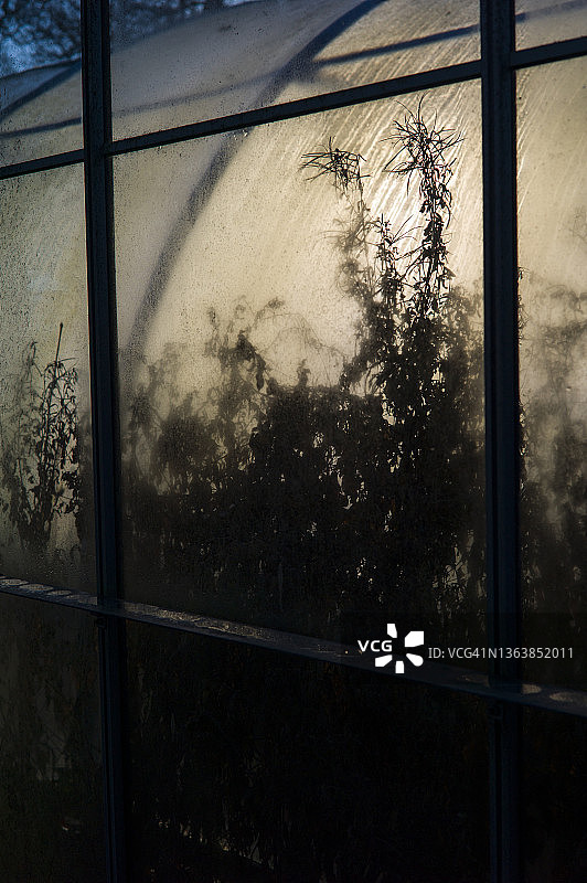 废弃的温室图片素材