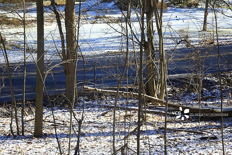 穿过森林的公路图片素材