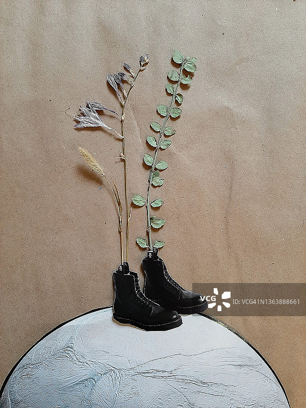 鞋子里的鲜花图片素材