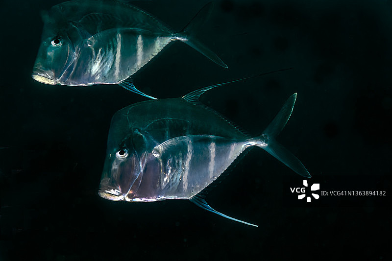 洛克当学校图片素材