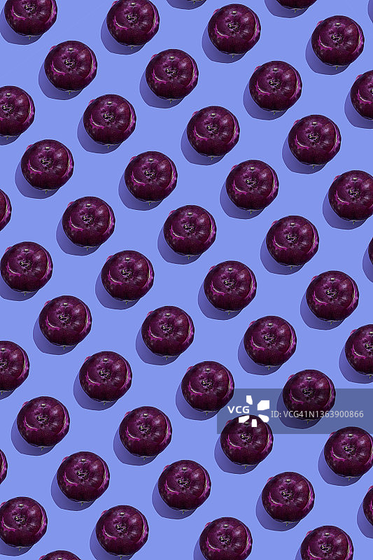 蓝色背景上的紫色大头菜图片素材