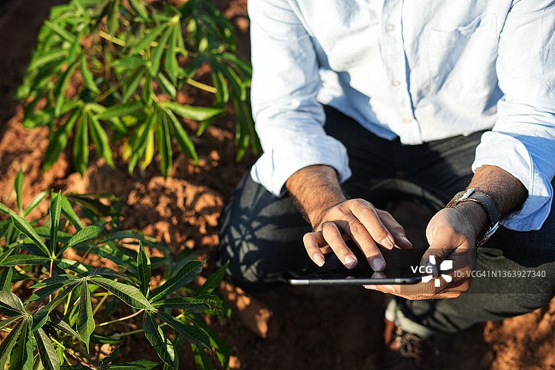 在田野里使用平板电脑的农夫图片素材