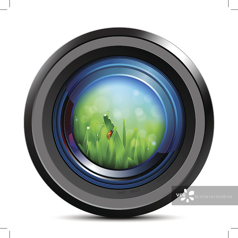 相机镜头上的草地瓢虫图片素材