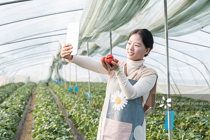 年轻女子通过直播视频售卖草莓图片素材