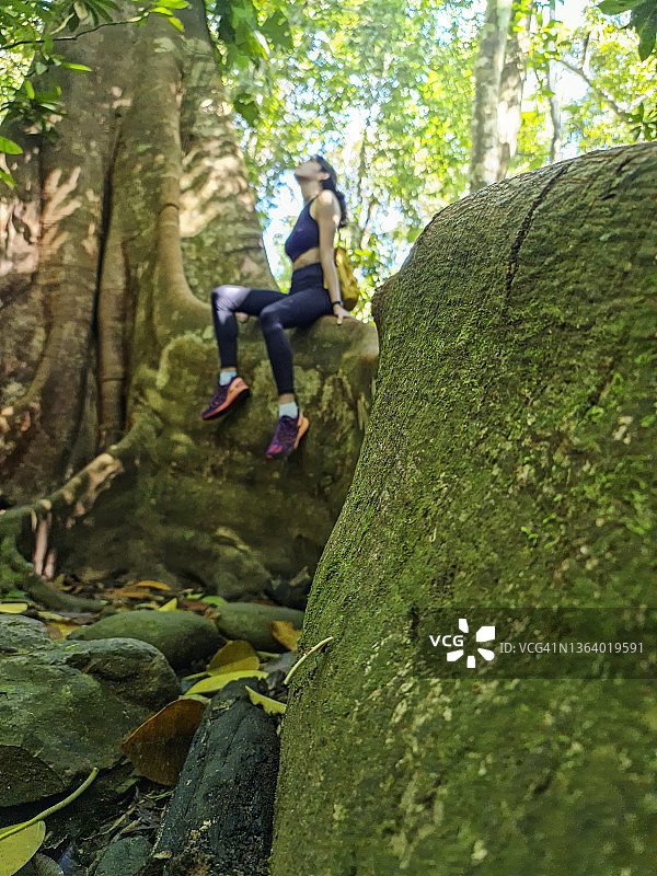 坐在雨林大树根上欣赏风景的游客女孩（虚化）图片素材