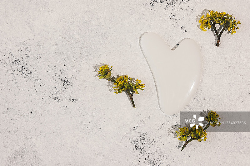 刮痧板和带黄色花朵的树枝图片素材