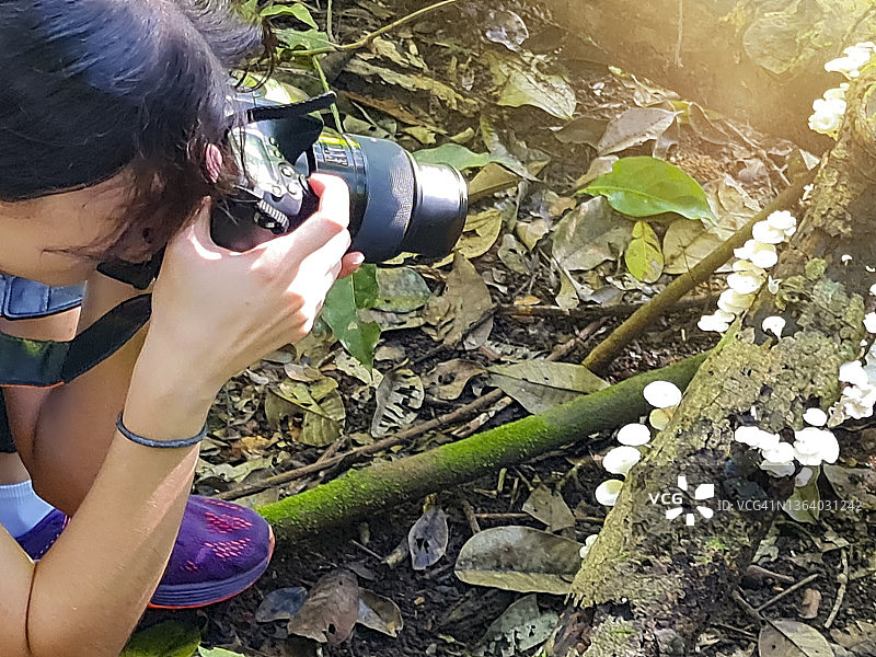 在热带雨林里拍摄蘑菇的女孩图片素材