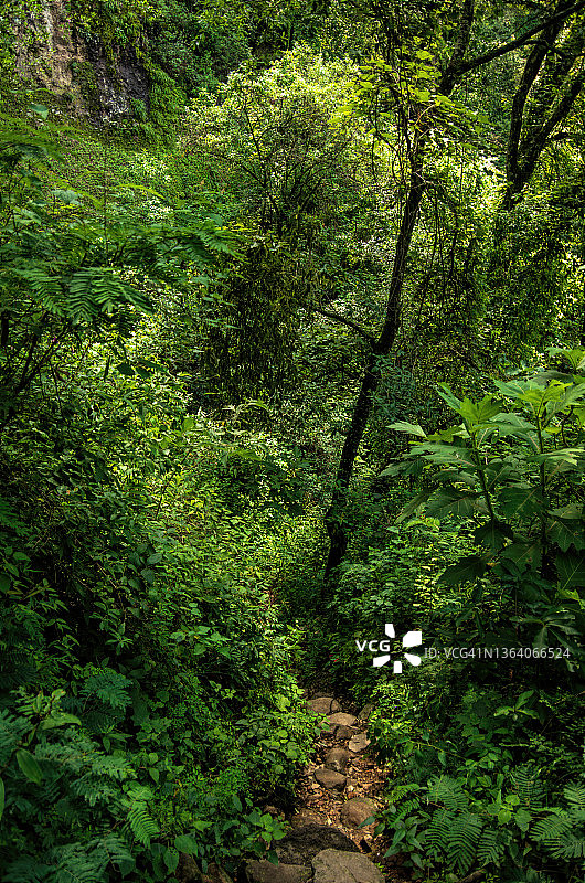墨西哥莫雷洛斯州特波斯特兰山上的狭窄岩石小路图片素材