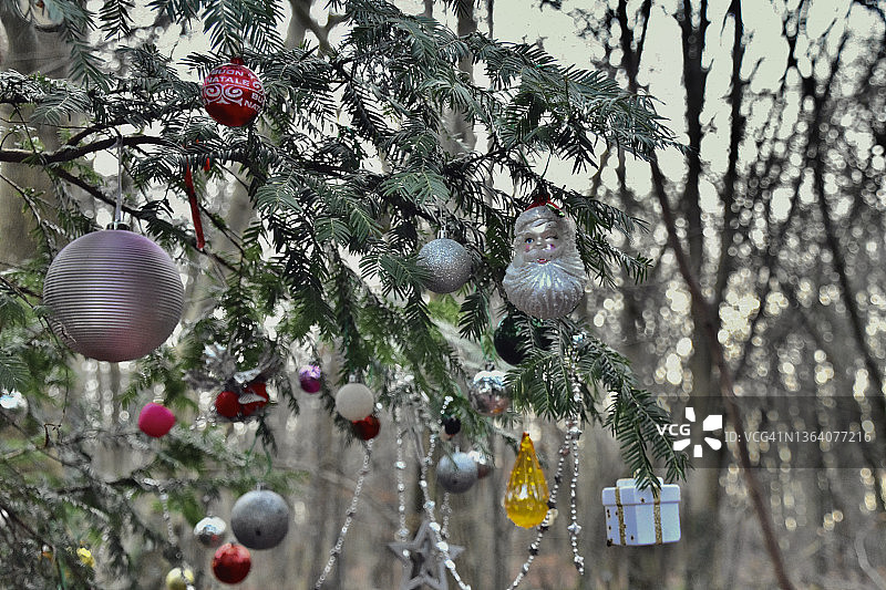 冬季闪亮装饰图片素材