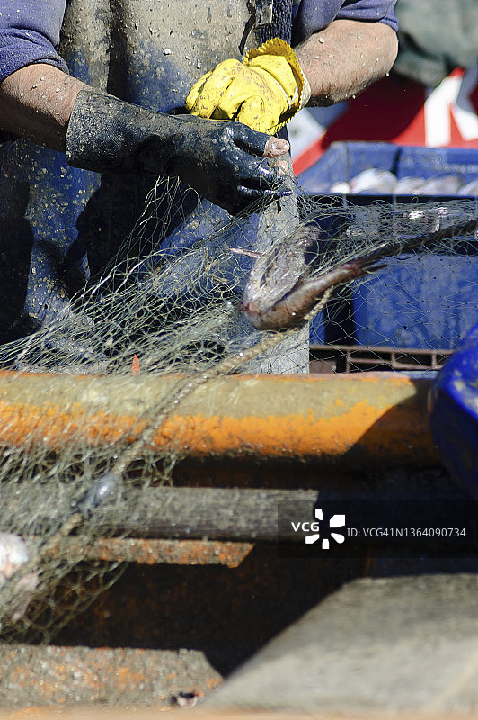 渔民检查渔网图片素材