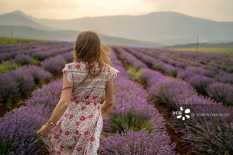 在薰衣草田的年轻女人图片素材