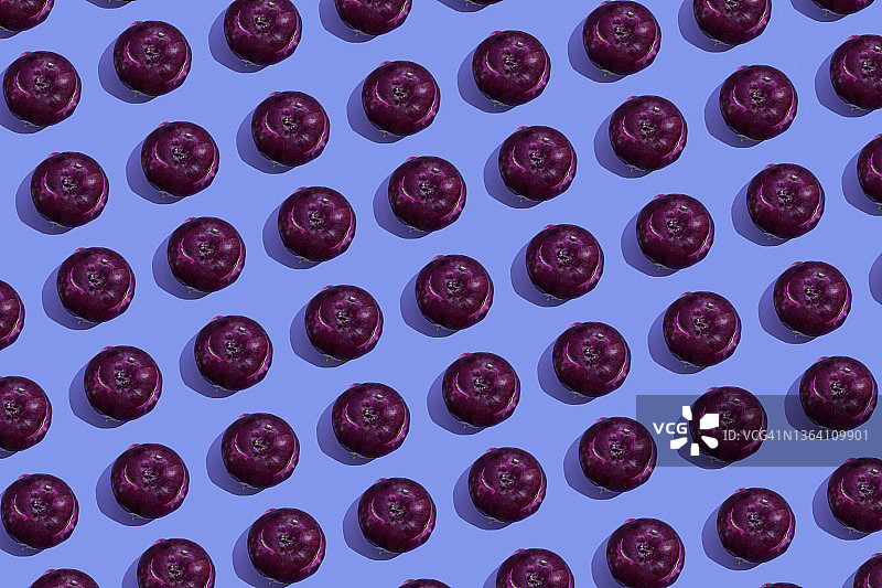 蓝色背景上的紫色大头菜图片素材
