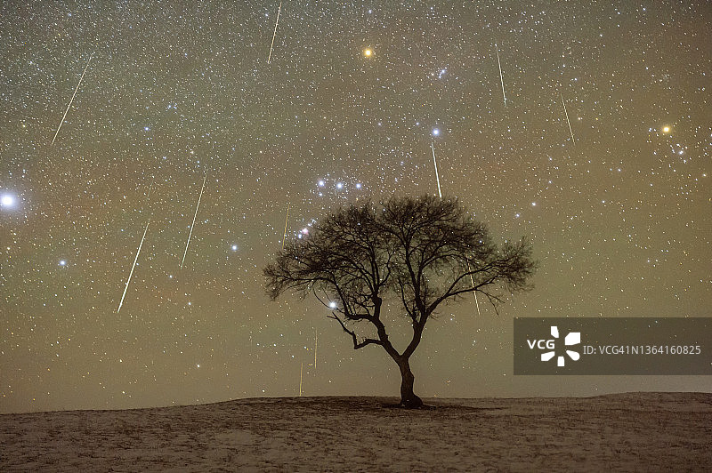 月落时分，流星划过草原上的孤树图片素材