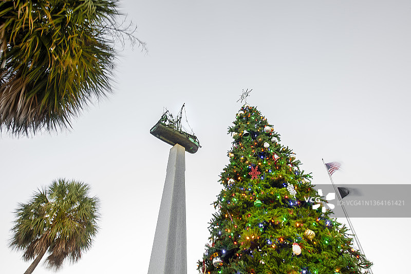 美国佛罗里达州的圣诞树图片素材