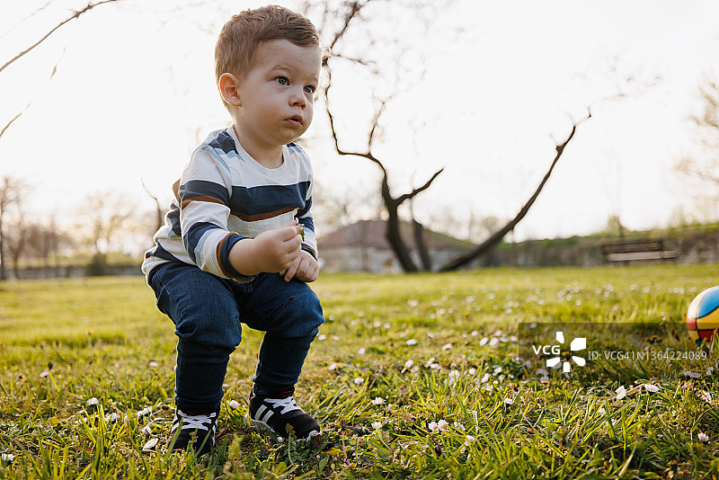 在春日草地上采摘雏菊的可爱男孩图片素材