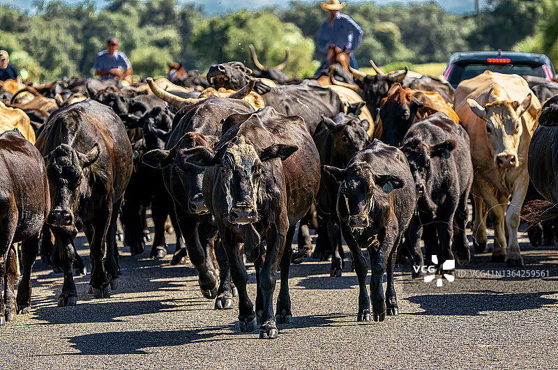 移动他们，集中他们图片素材