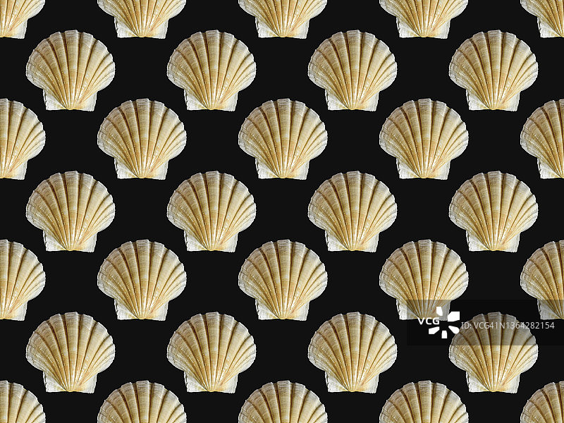 贝壳无缝图案图片素材