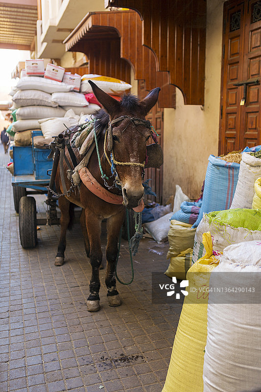 摩洛哥马拉喀什图片素材
