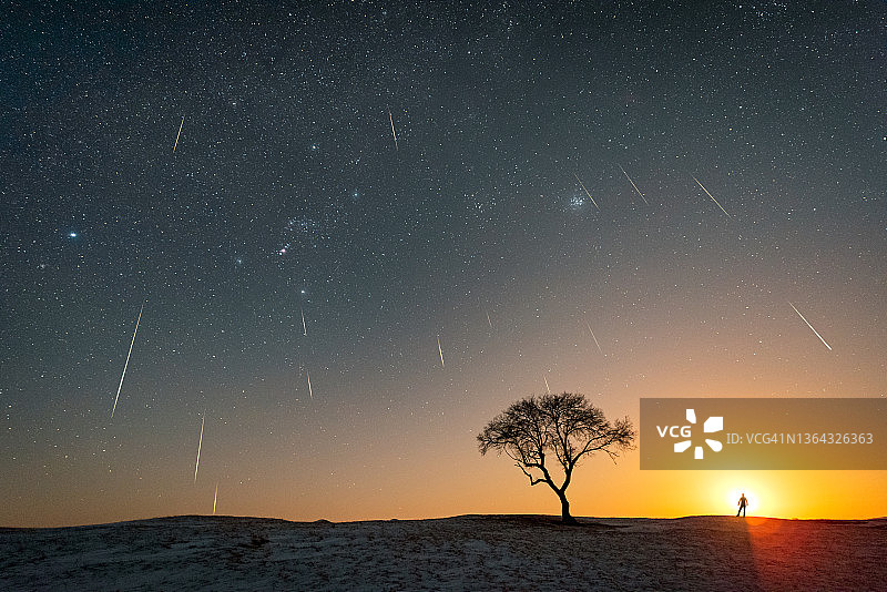月落时分，流星划过草原上的孤树图片素材
