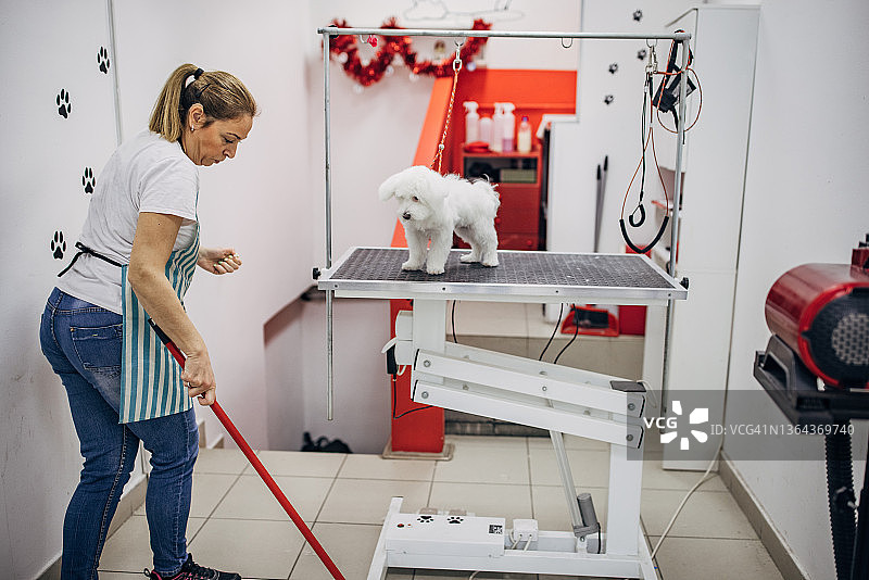 在宠物美容店清洁的女工人图片素材