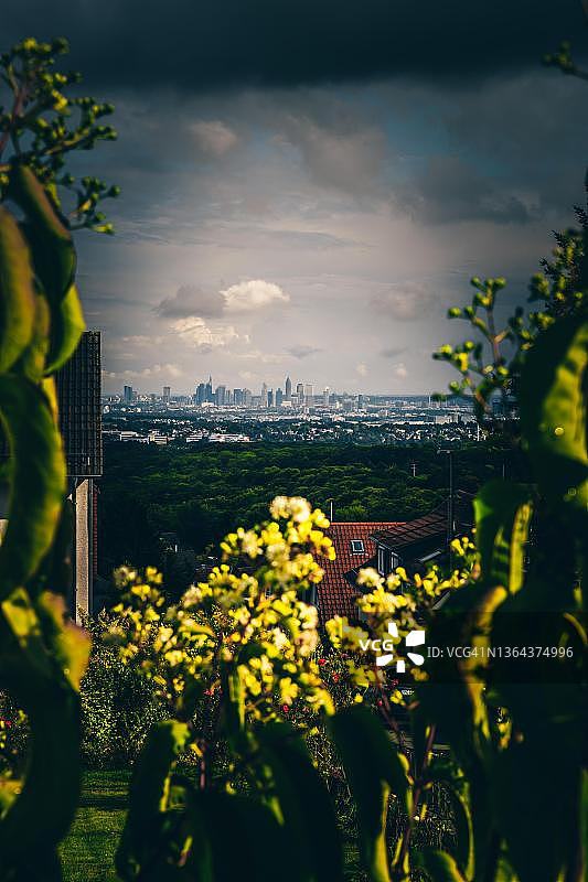 从绿色的前陶努斯山看德国黑森州的美因河畔法兰克福图片素材