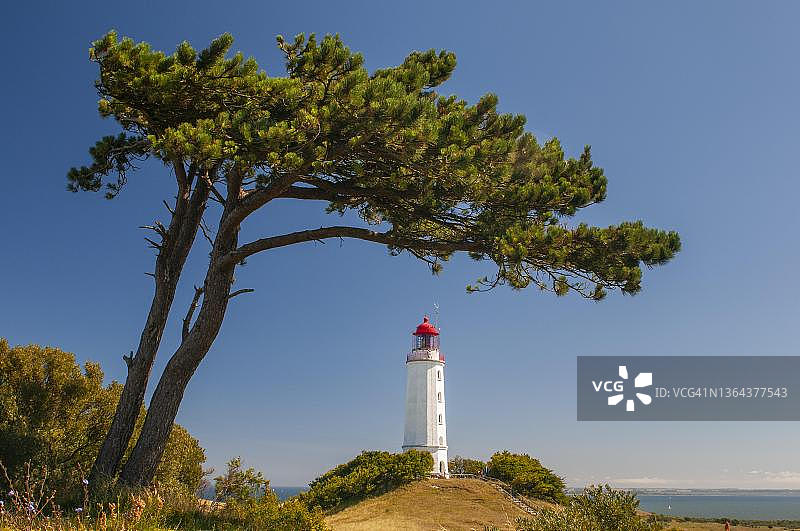 德国希登塞岛上的灯塔，松树，梅克伦堡-前波美拉尼亚图片素材