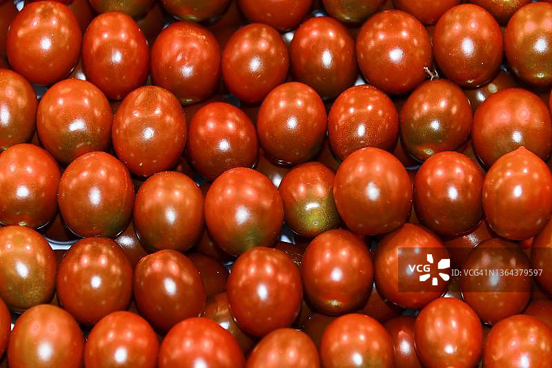 西班牙加泰罗尼亚巴塞罗那兰布拉大道波盖利亚市场室内水果摊位的番茄图片素材